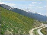 IMG-73.JPG