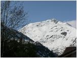 IMG-89.JPG